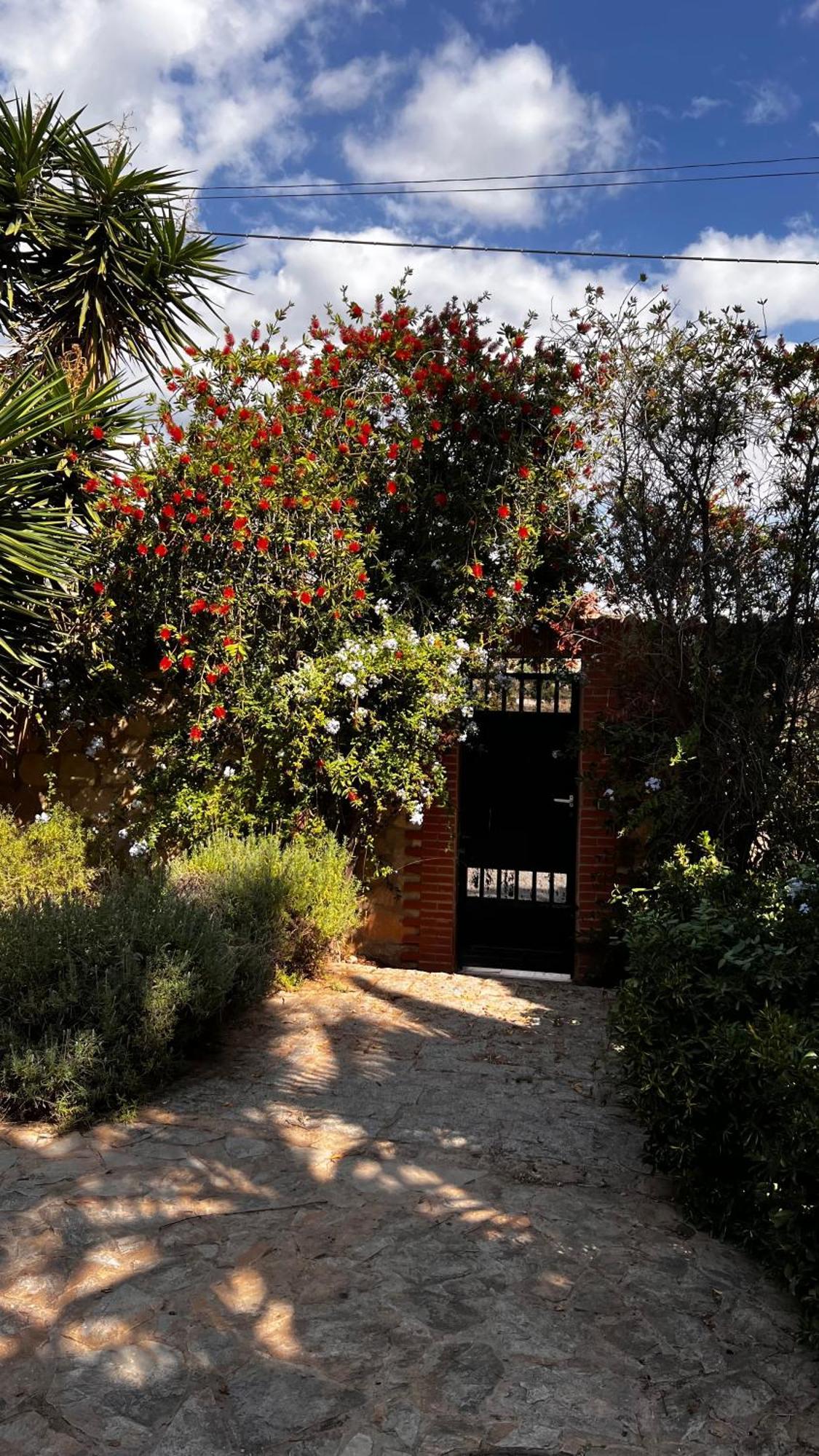 Rincon Mediterraneo San Vicente Raspeig Exterior photo